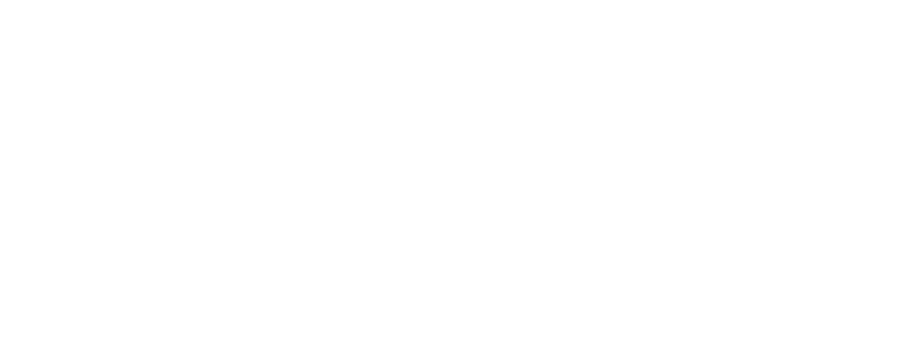 Logo ES13 blanc